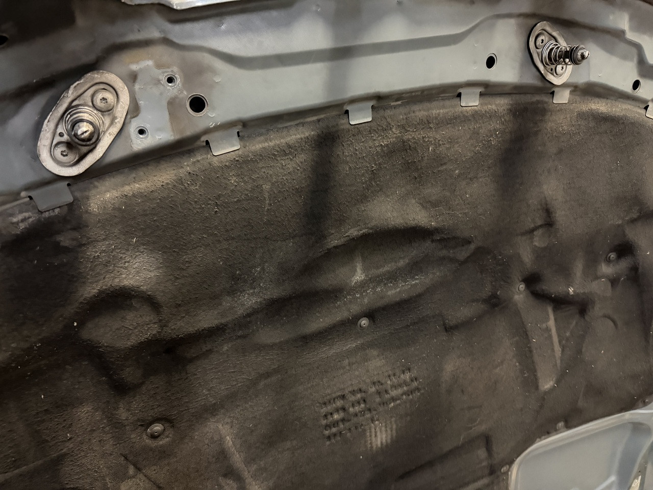HOOD ANTHRAZIT BMW e39 M5 540i 530i 525i 528i 8238592