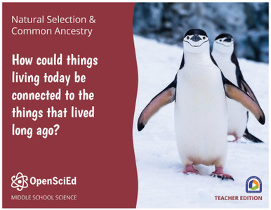 OSE - Teacher Edition - 8.6 - Natural Selection