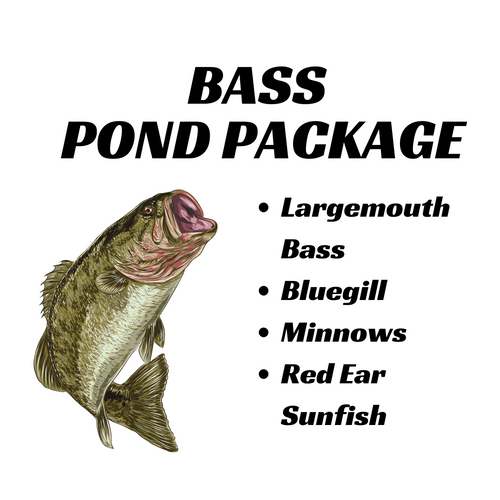 Northern Bass Pond Starter Pack