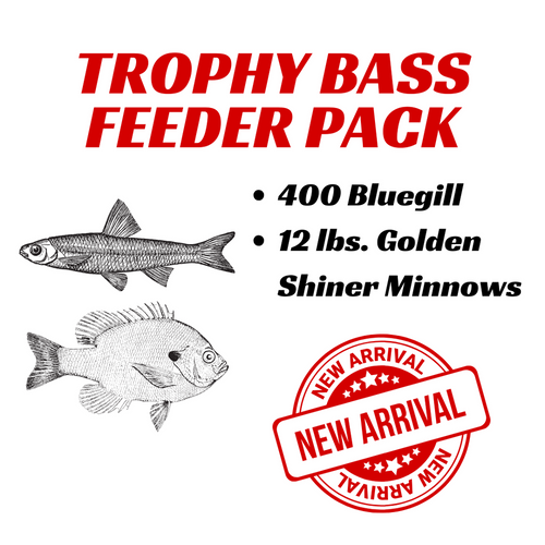 Trophy Bass Feeder Pack
