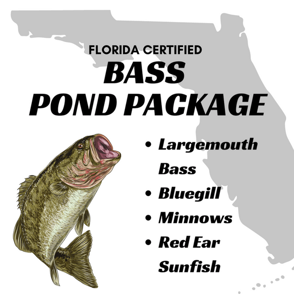 FLORIDA Bass Pond Starter Pack (bass shipped separately)
