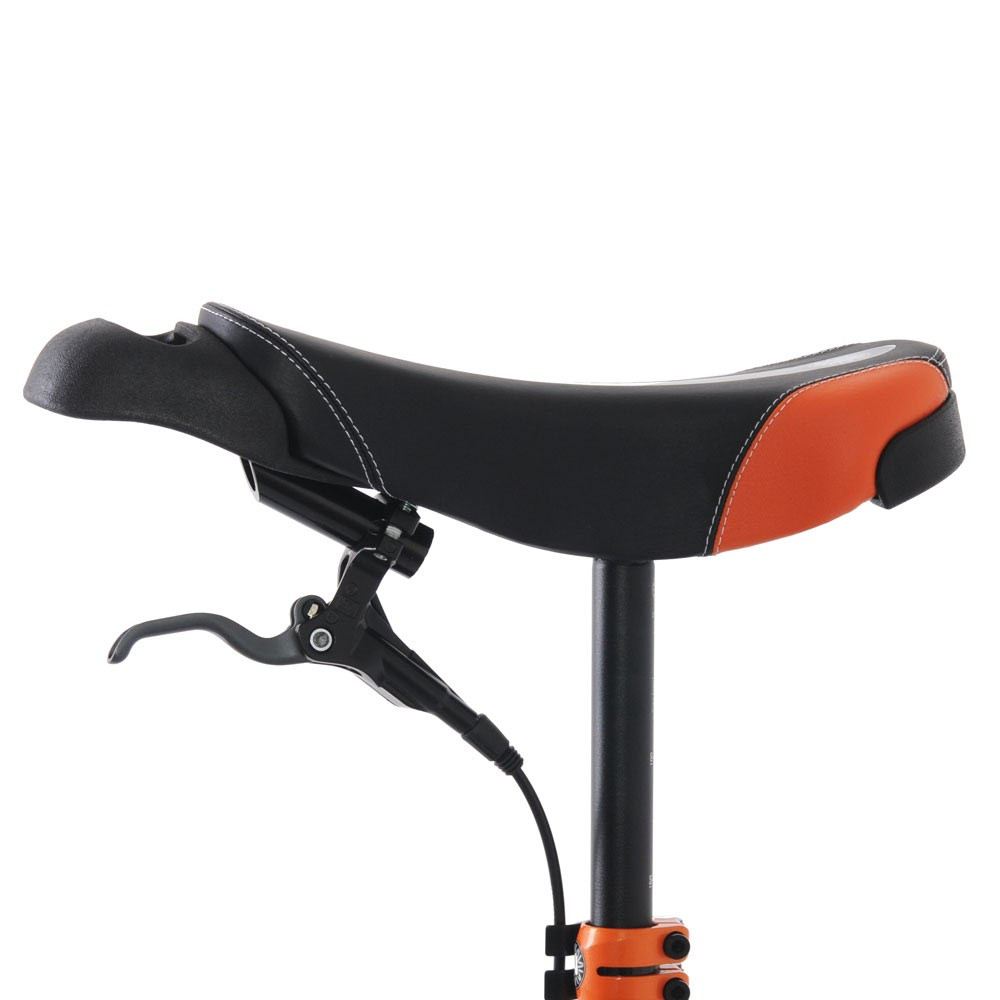 Nimbus 24" Oracle Mountain Unicycle For Sale