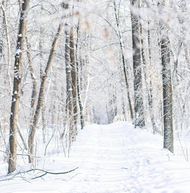 Odd Bikes in the Snow: Cold-Weather Penny Farthing Riding 
