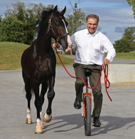 Mom Doesn't Blame You