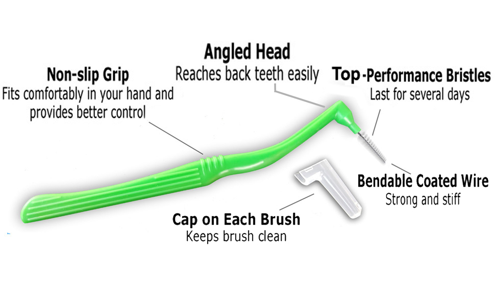 Interdental brush close-up