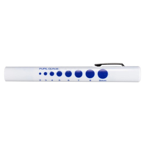 Torch Penlight Disposable