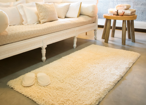 Shag Rug Shag Rug