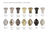 Colour options