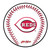 KR Strikeforce MLB Cincinnati Reds Round Rubber Bowling Shammy