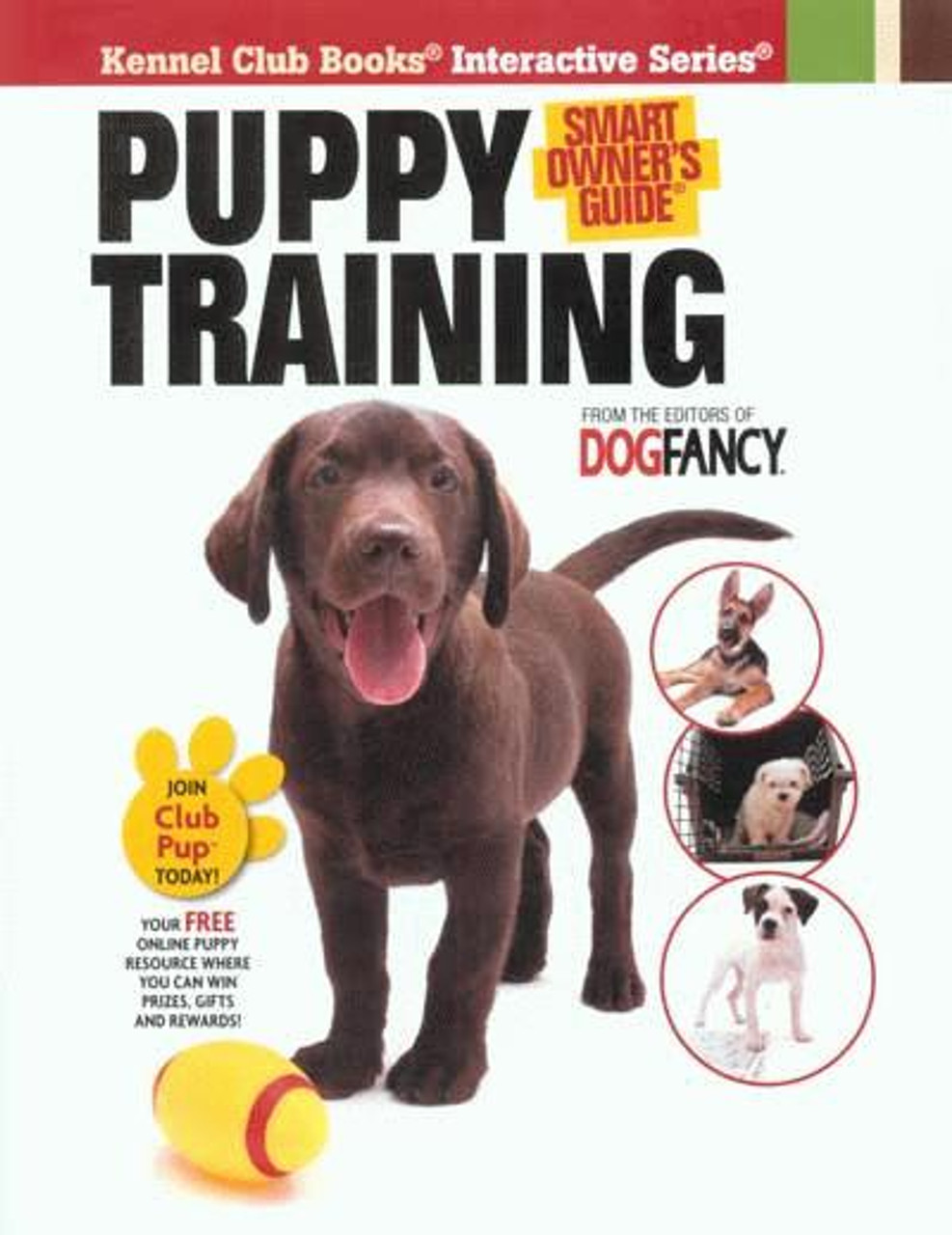 Guide To Male Dog Names  Petventures Book – petventuresbook