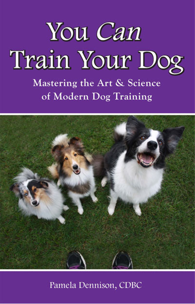 how to train my dog to come to me
