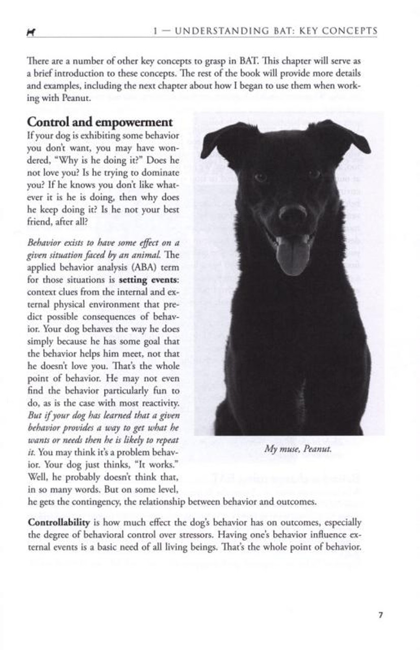 Ebook Behavior Adjustment Training 2 0 New Practical Techniques