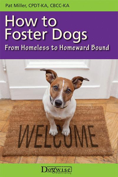 How To Foster Dogs From Homeless To Homeward Bound Dogwise
