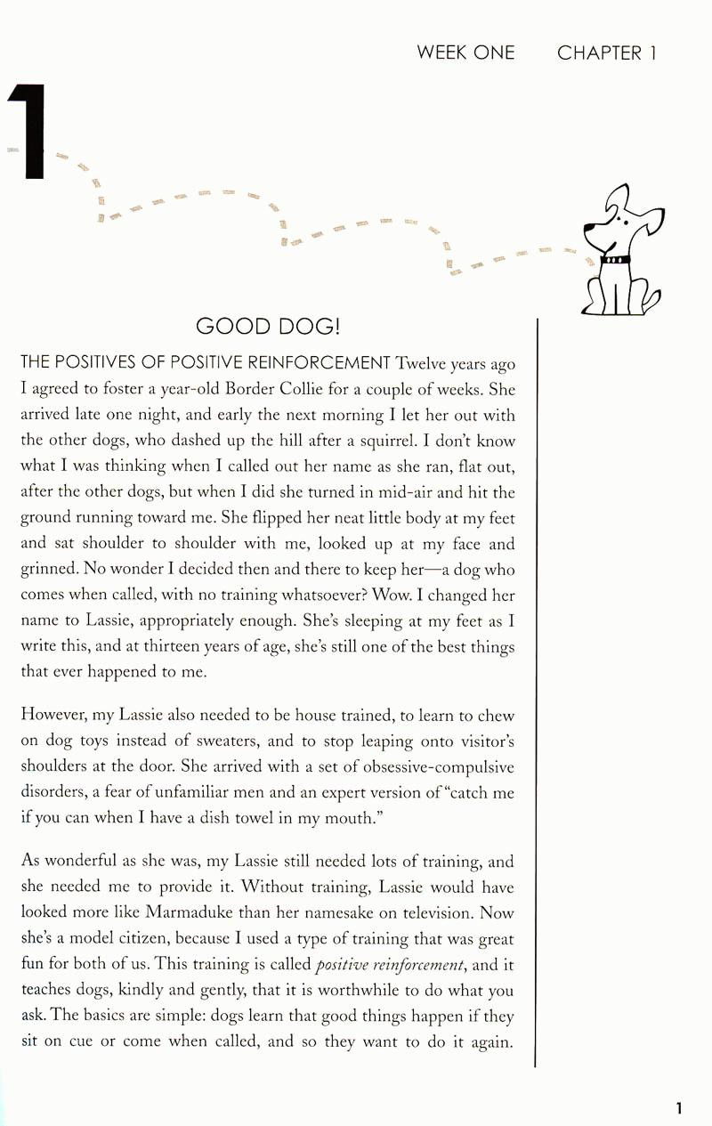 family friendly dog training