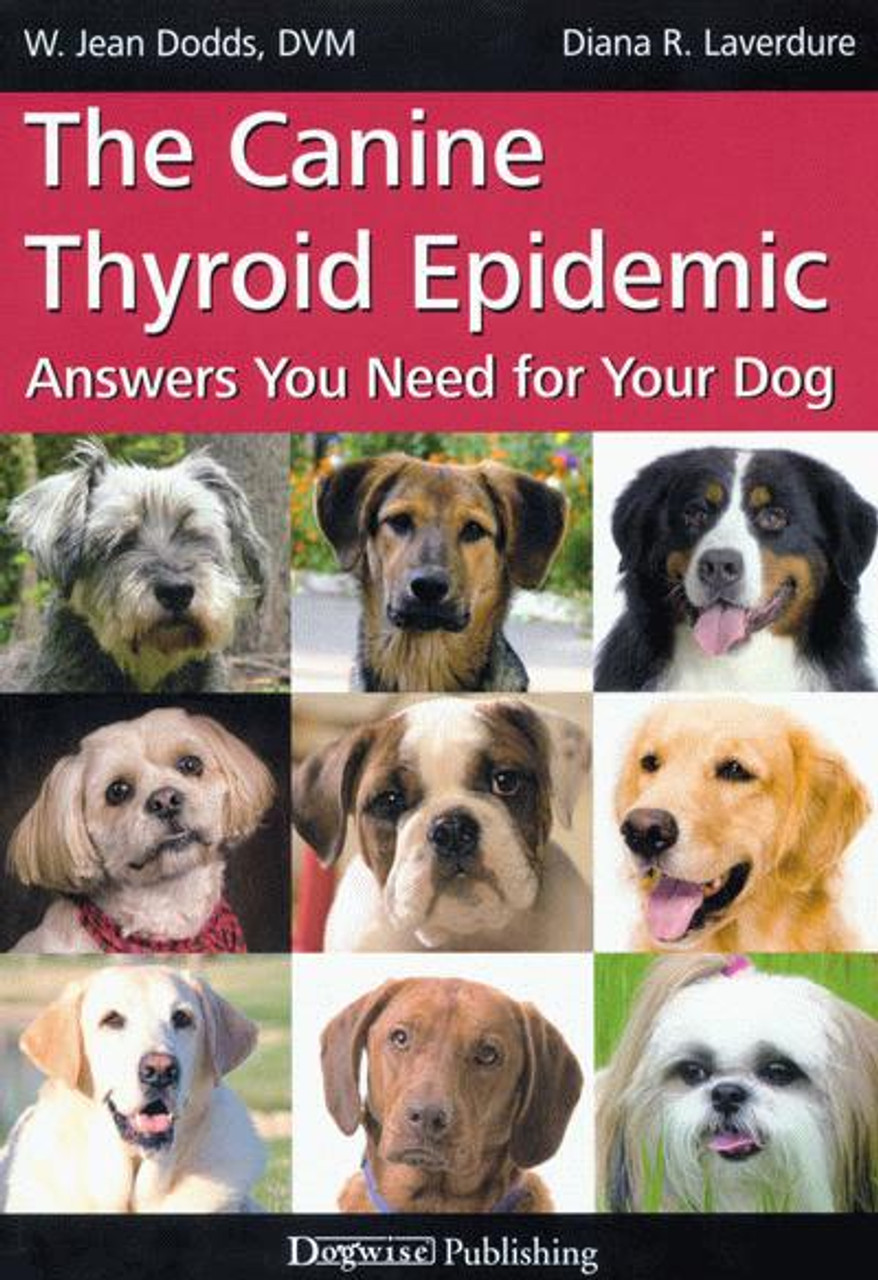 how can i help my dog with hypothyroidism