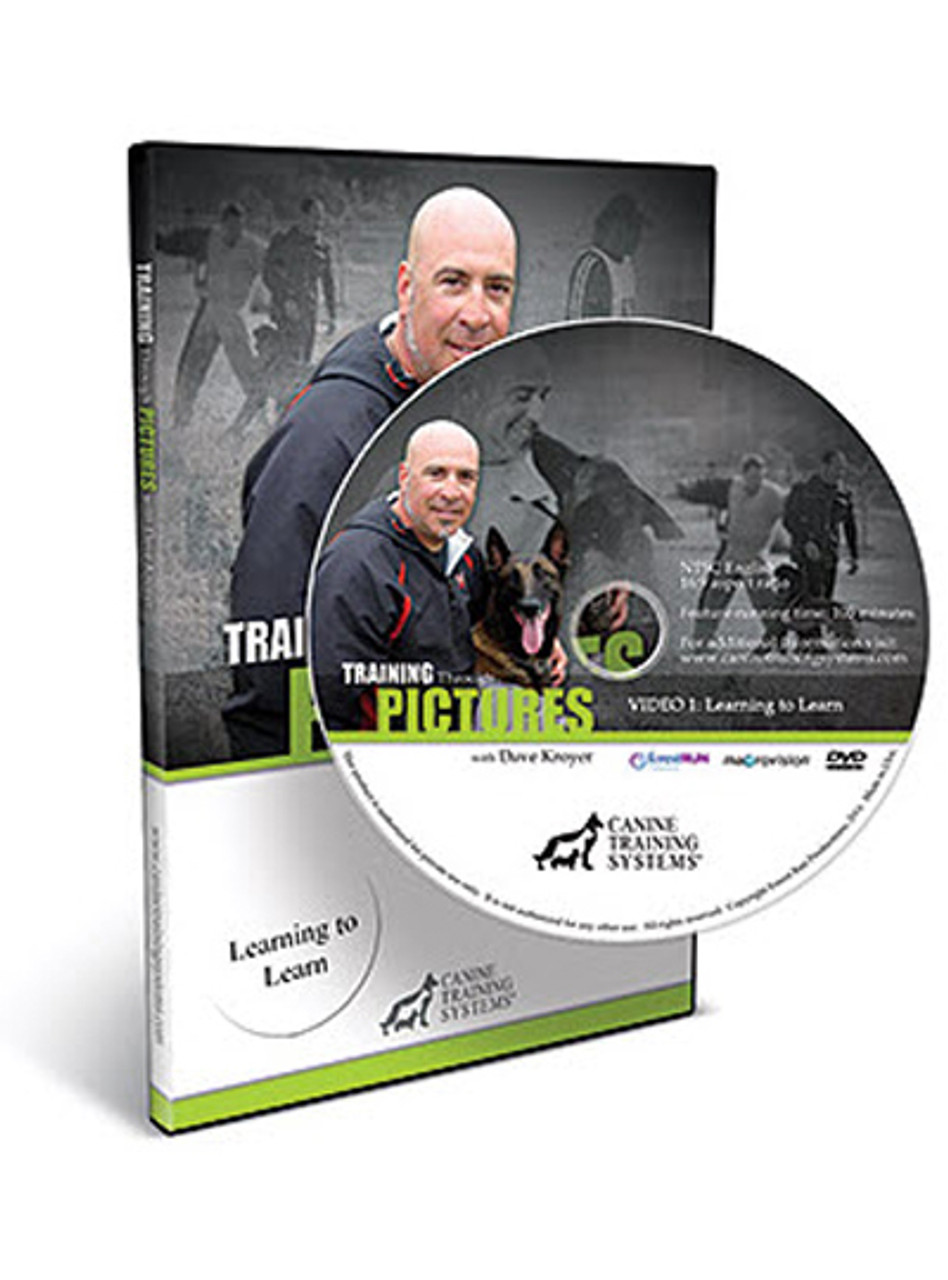 Training Through Pictures With Dave Kroyer: Learning To Learn Dvd