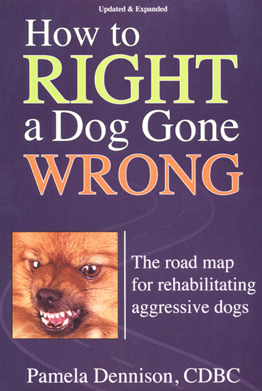 what is aggressive dog behavior