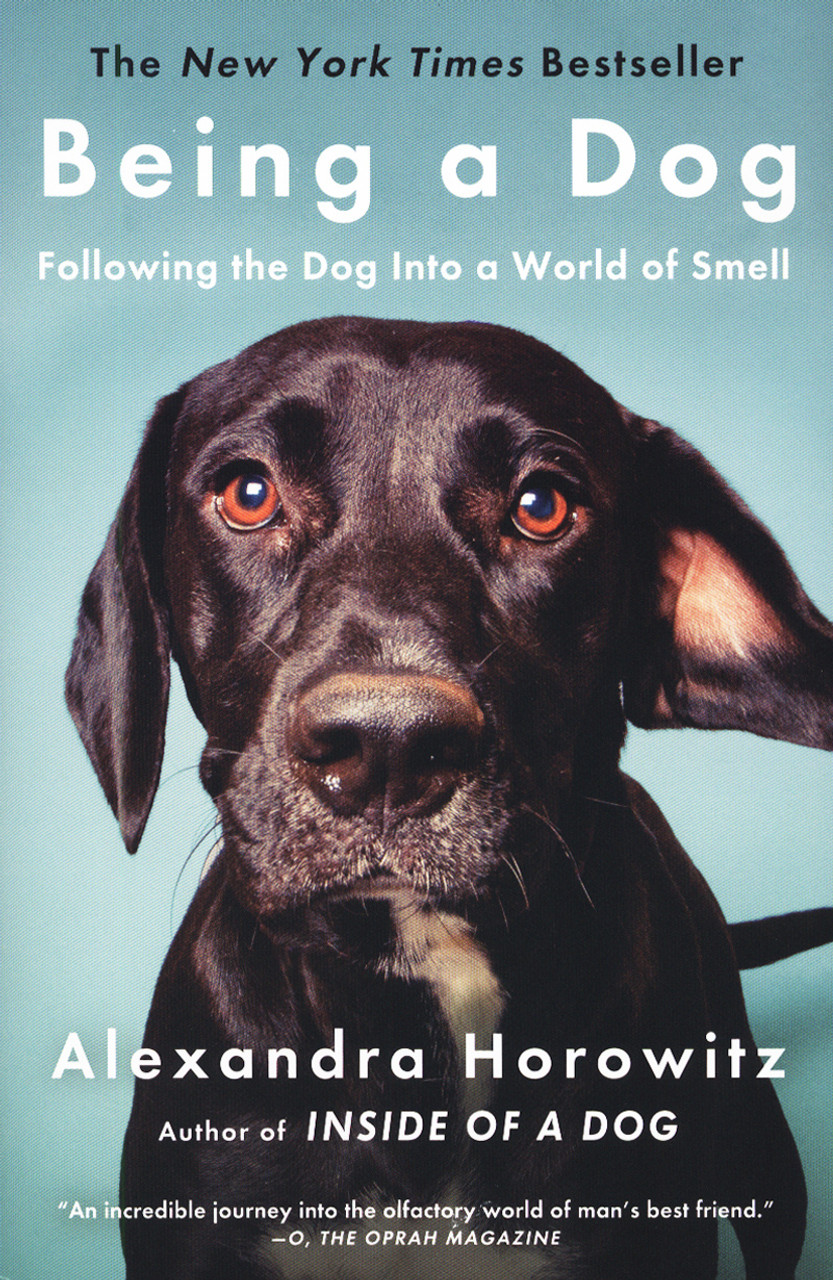 Dogs Disclosed - ENRICH MY LIFE! The benefits of providing enrichment for  dogs. Imagine being kept in the same space each and every day. You know  every blade of grass, every scent