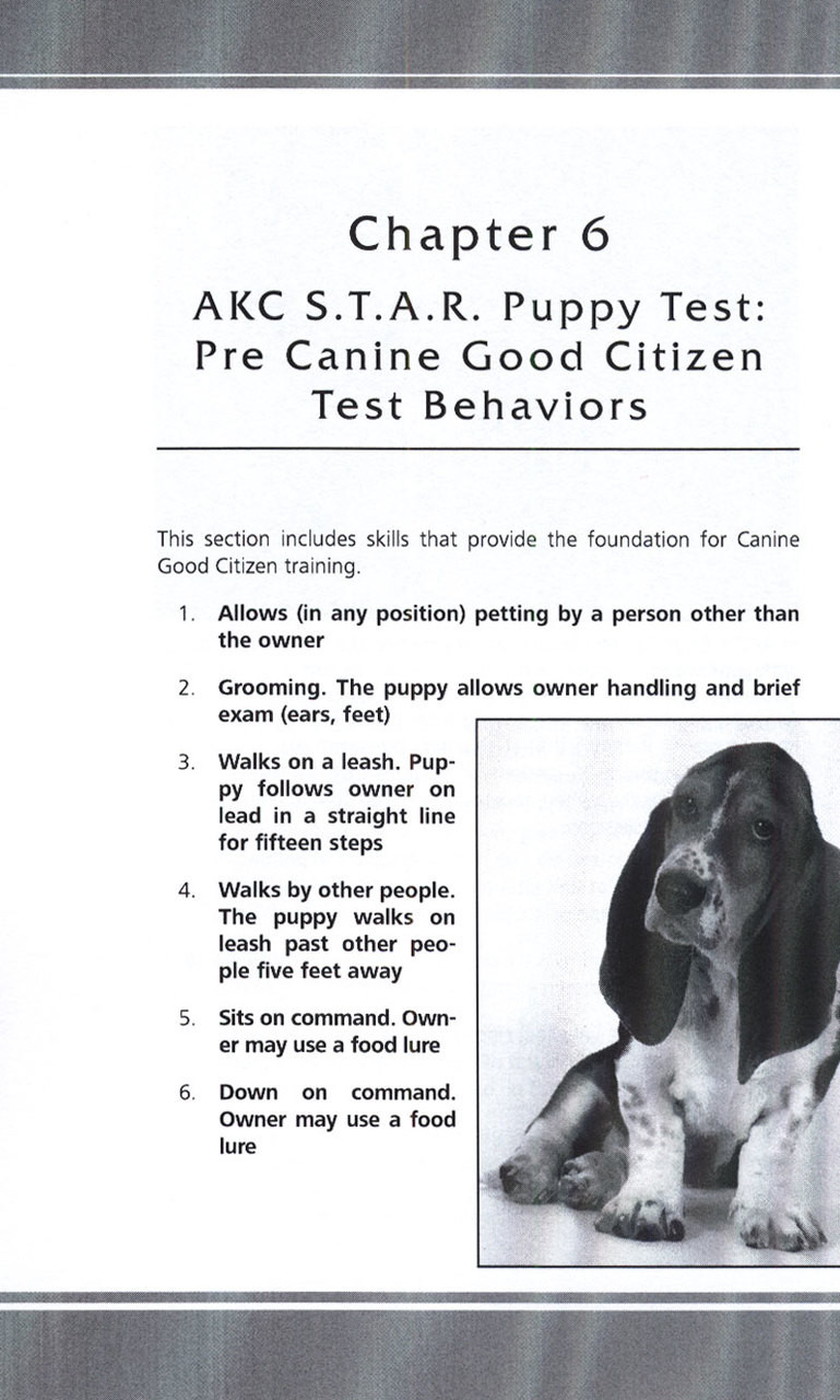 Akc Star Puppy A Positive Behavioral Approach To Puppy Training