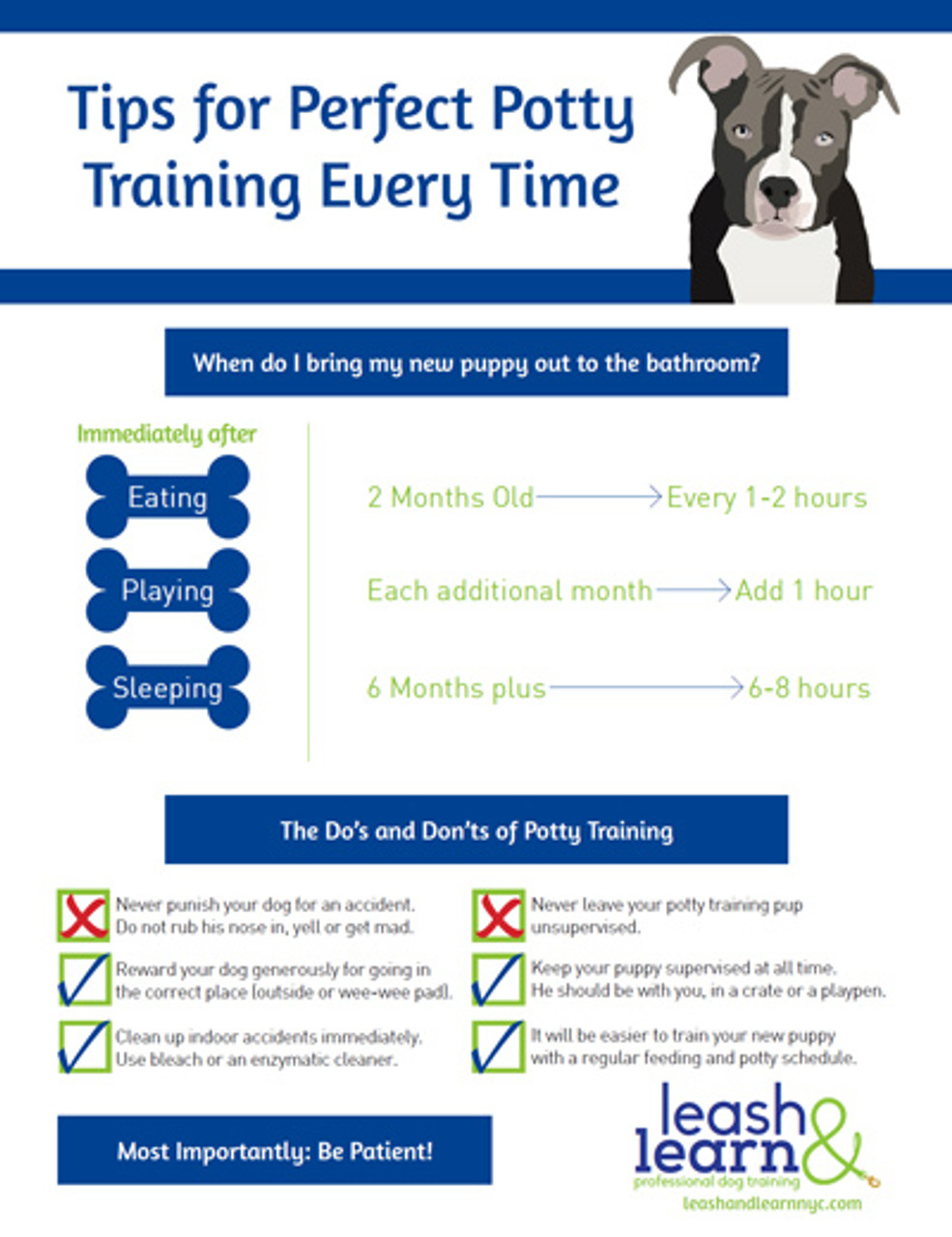can you potty train a 1 year old dog