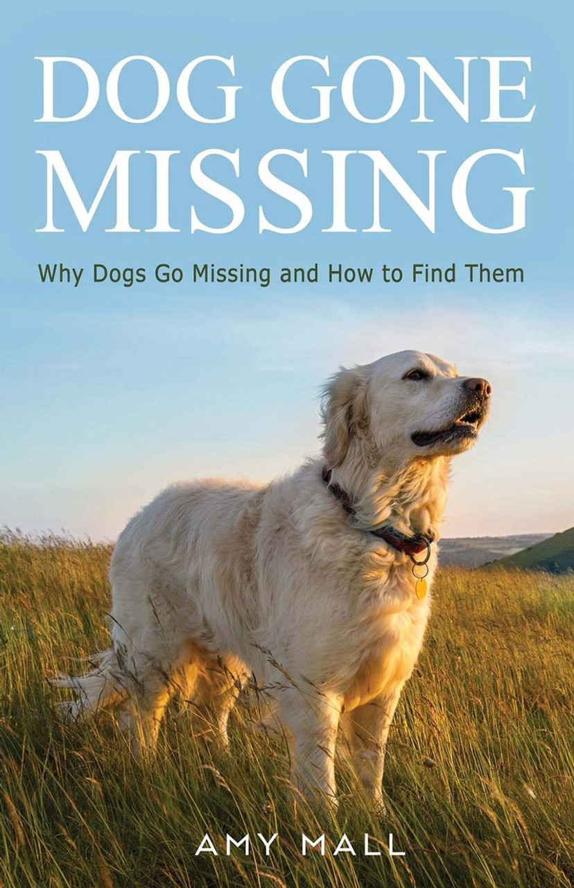 why do dogs go missing