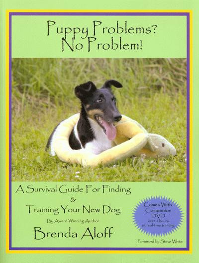 Puppy Problems? No Problem A Survival Guide for Finding