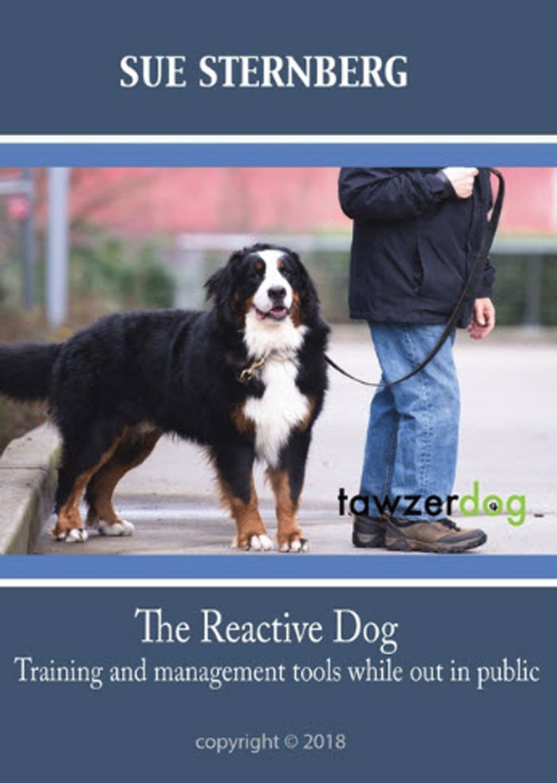 The Reactive Dog: Training and management tools while out in