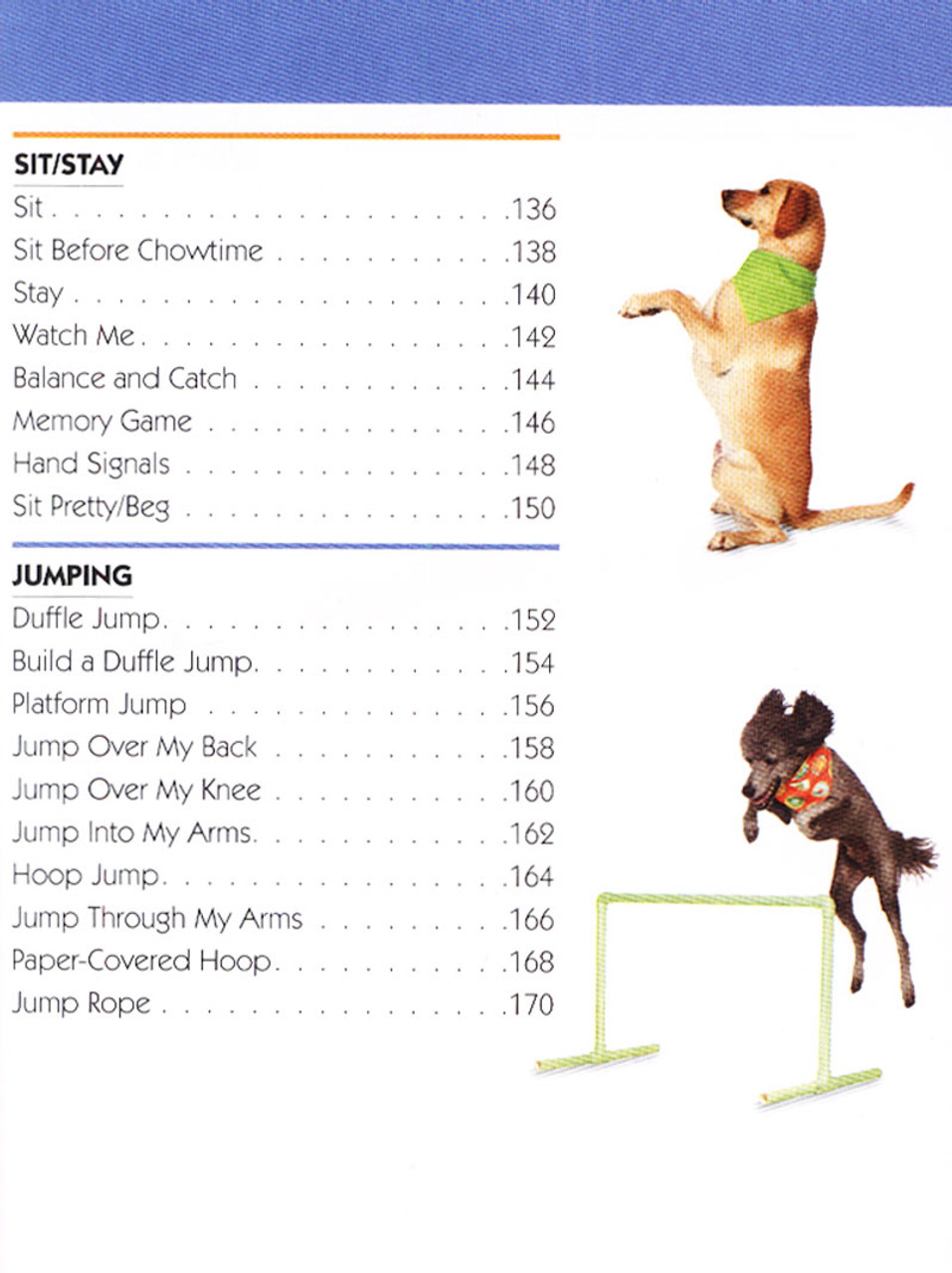 The Pocket Guide To Dog Tricks 101 Activities To Engage Challenge