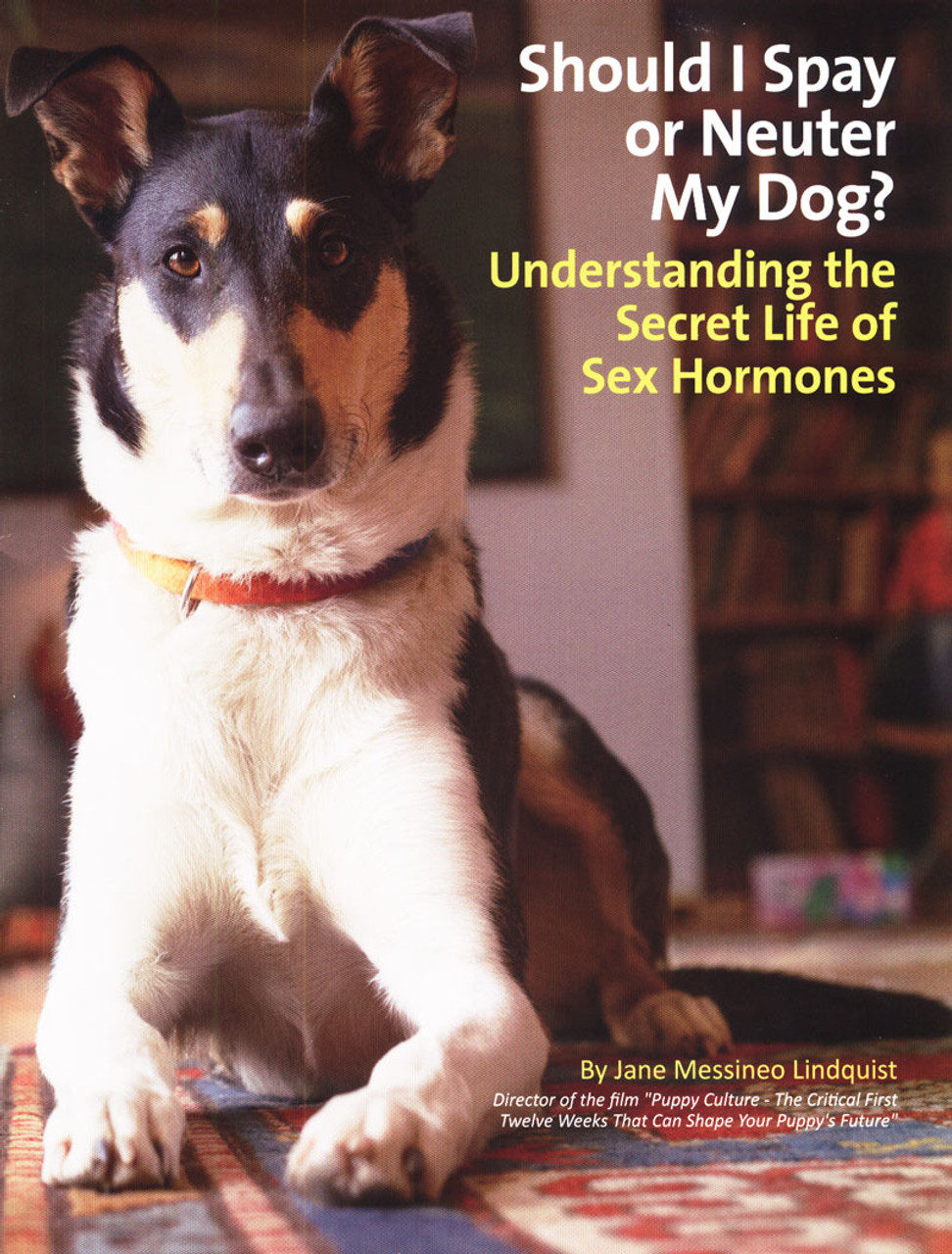 Should I Spay or Neuter My Dog? Understanding the Secret Life of Sex  Hormones - Dogwise