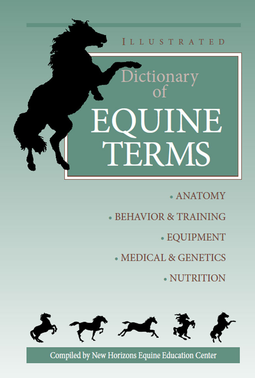 Anatomical Terms for Equine (Horse) Diagram