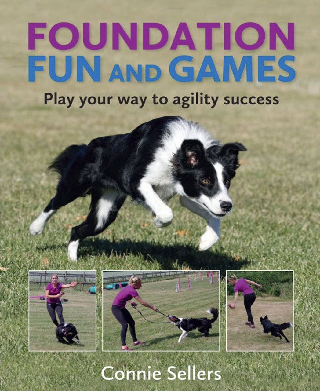 Beyond Puppy Basics: Try Puppy-Safe Sport Foundation Games