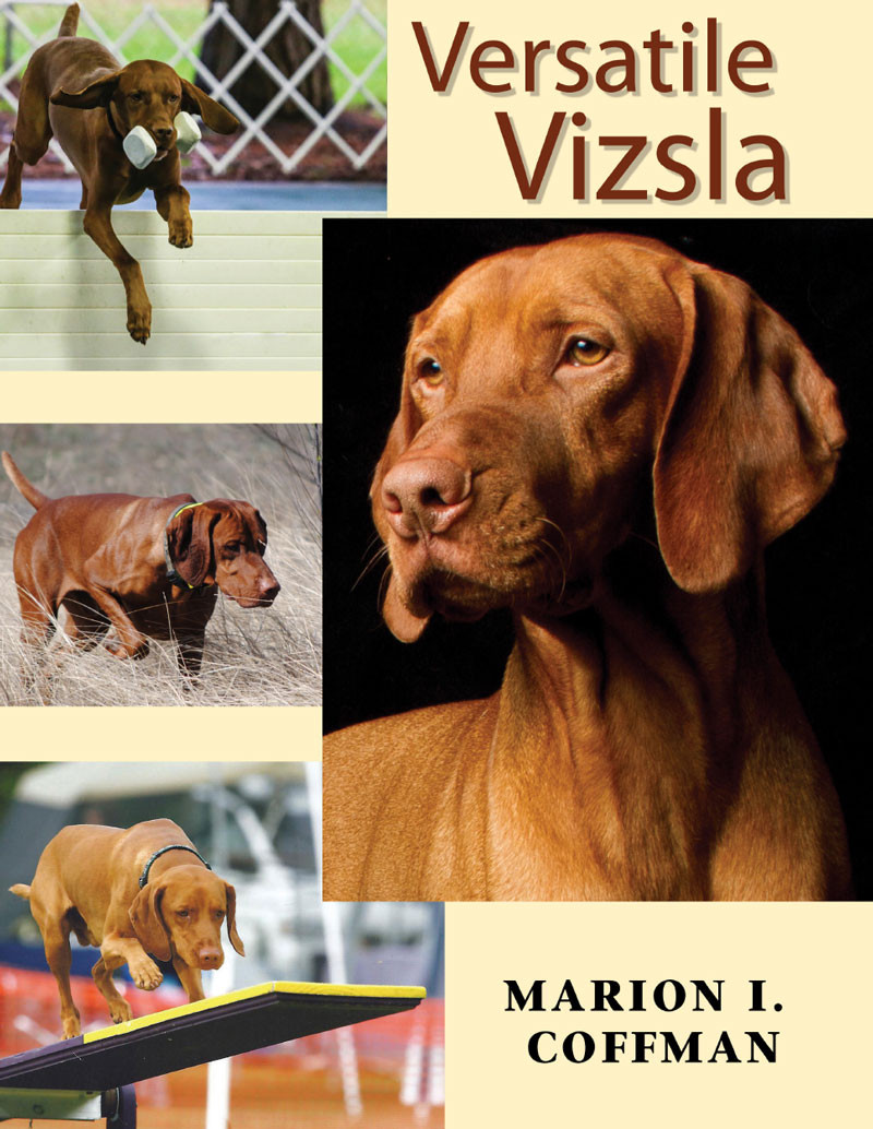 Versatile Vizsla - Dogwise