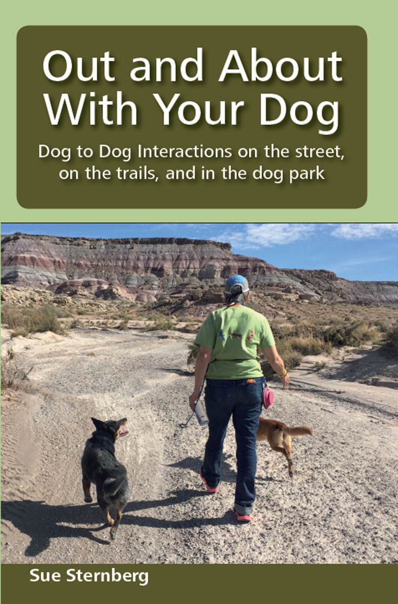 Out and About with Your Dog: Dog to Dog Interactions on the street