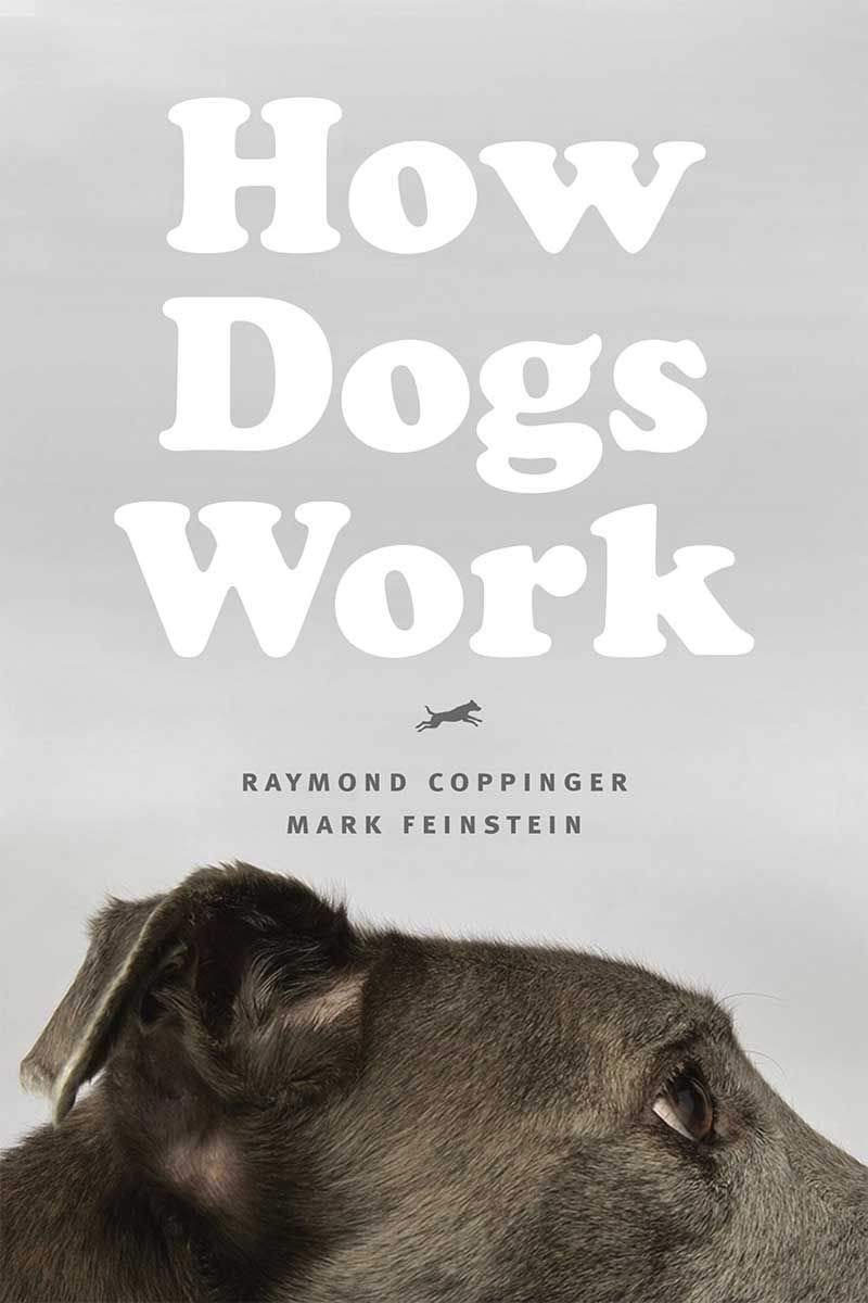 How Dogs Work (Paperback) - Dogwise
