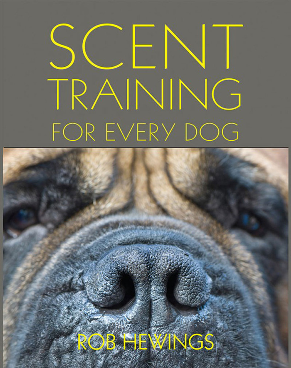 Nose Work For Dogs: Dog Scent Training Games