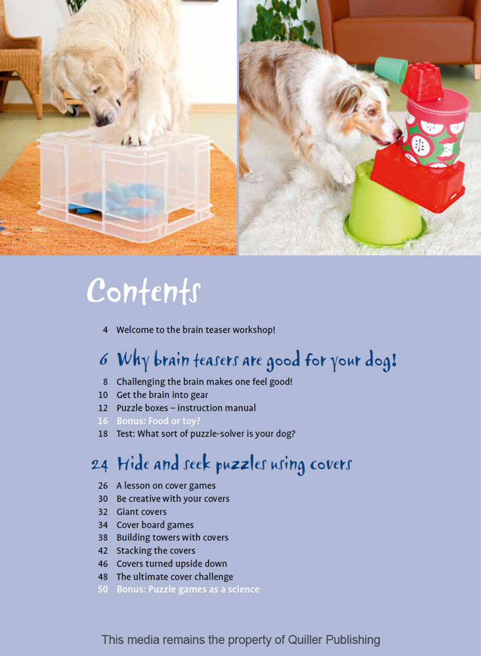 Brain Games For Dogs DIY 