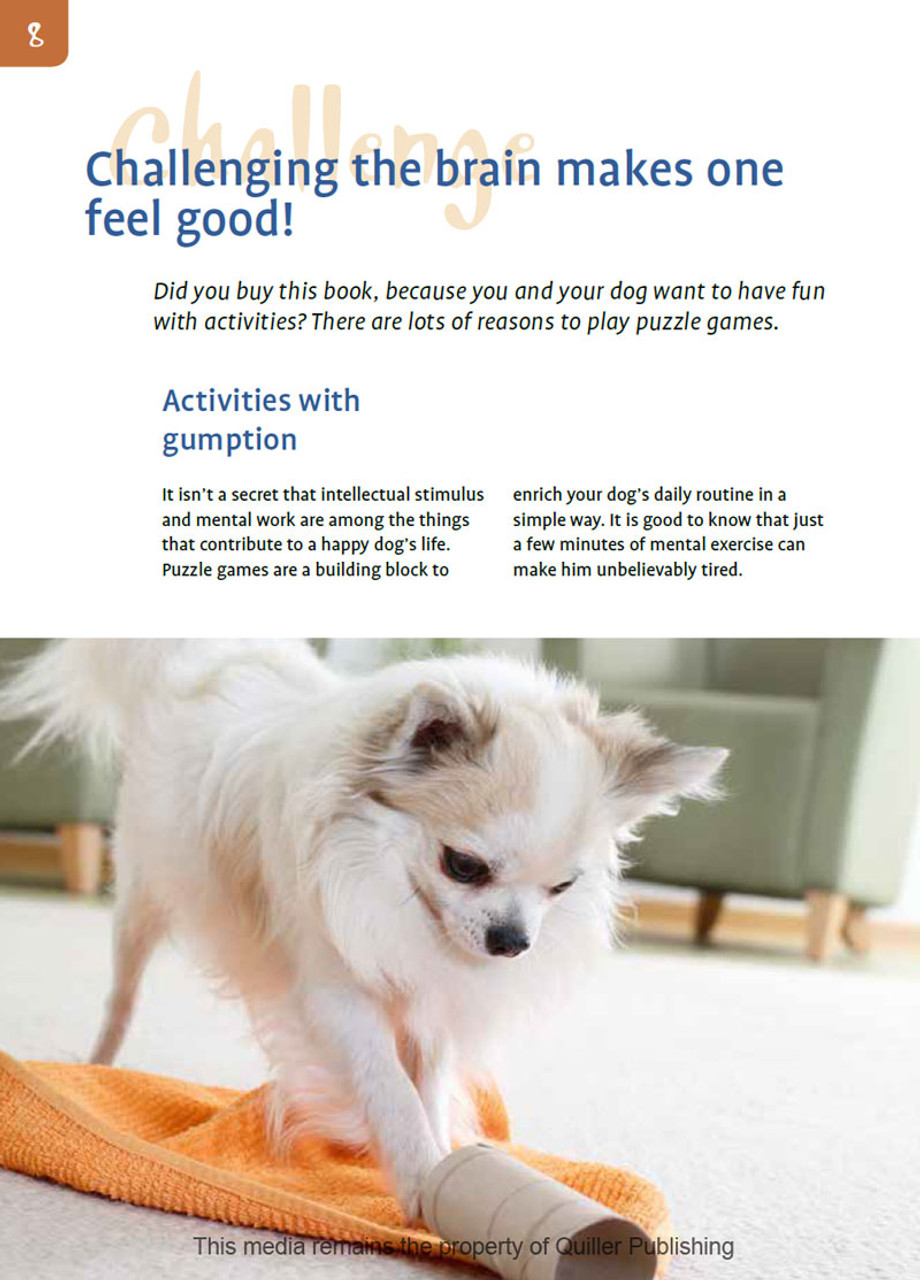 Dog enrichment activities: Healthy brains and happy dogs