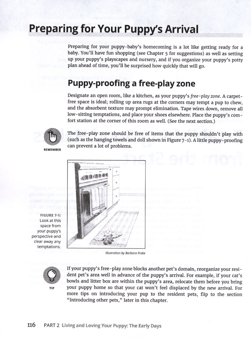 Puppies For Dummies 4th Edition