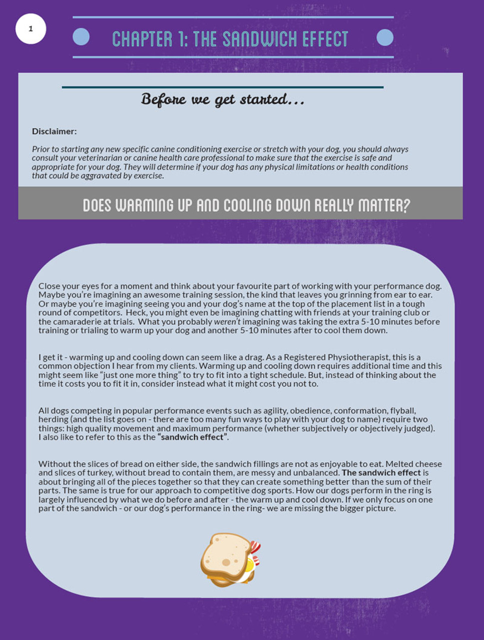 Warm Up And Cool Down Of The Canine Athlete Pdf