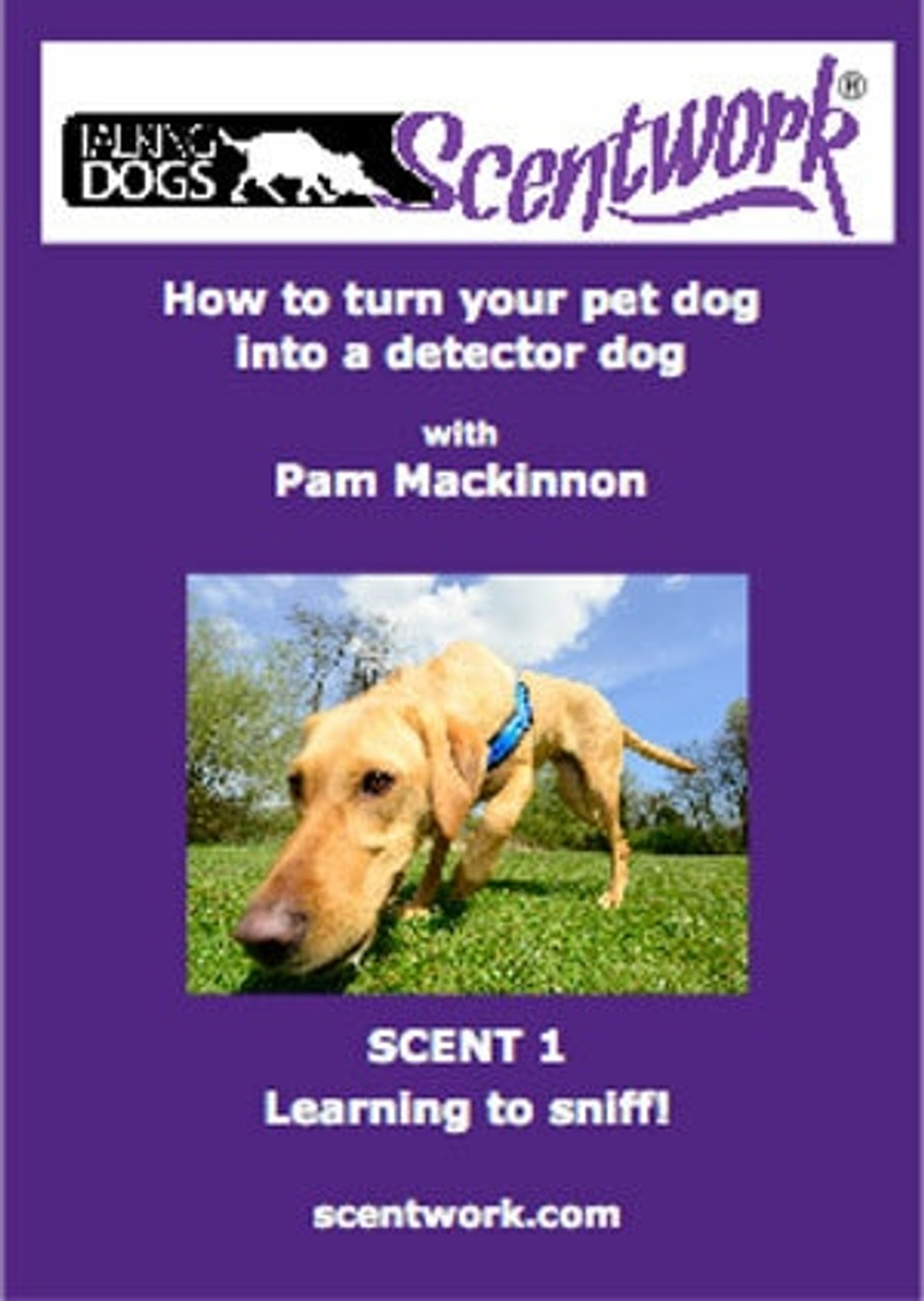 Talking Dogs Scentwork - How To Turn Your Pet Dog Into A Detector Dog Scent  1 Learning To Sniff - Streaming Video on Demand - Dogwise