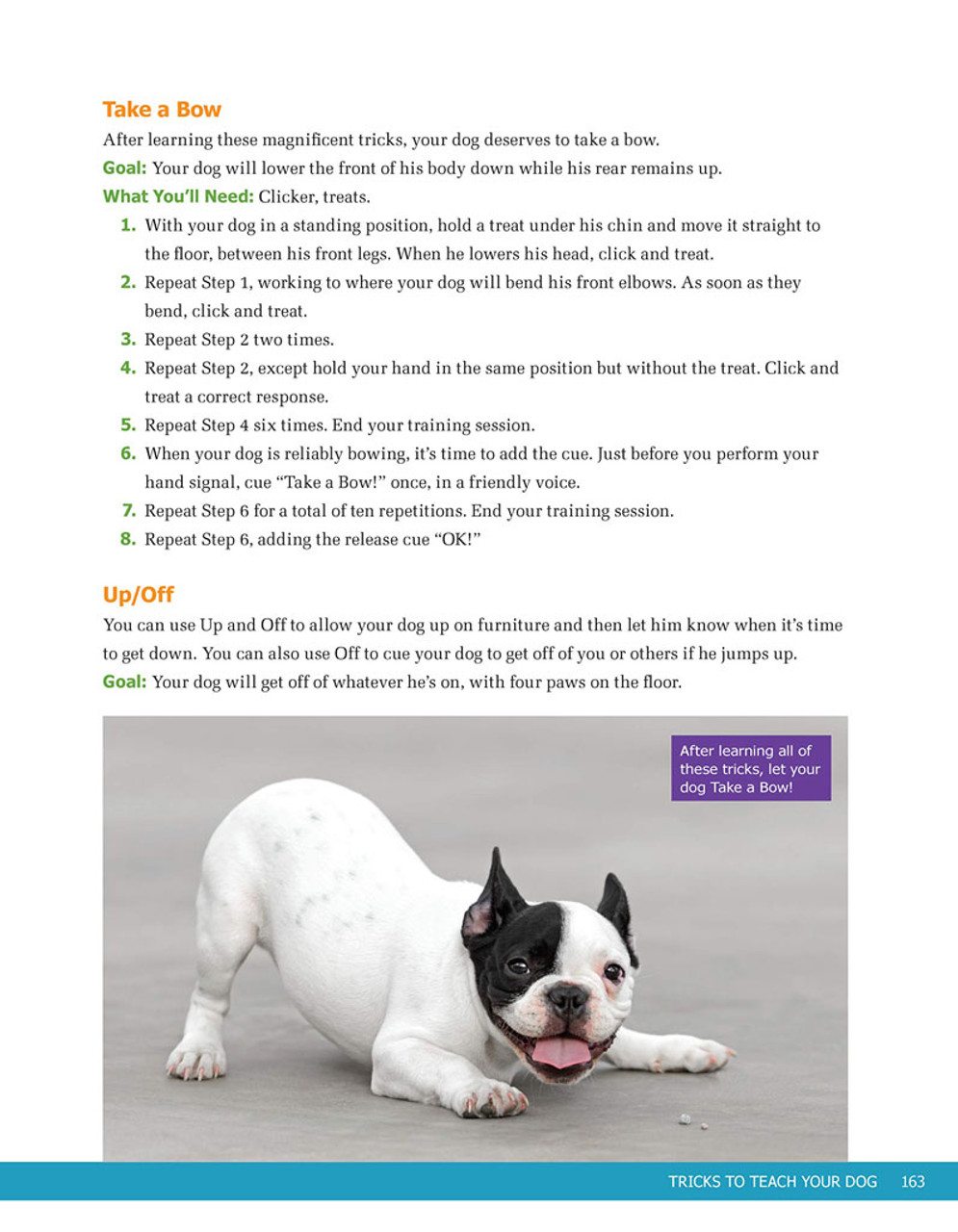 A guide to clicker training your dog