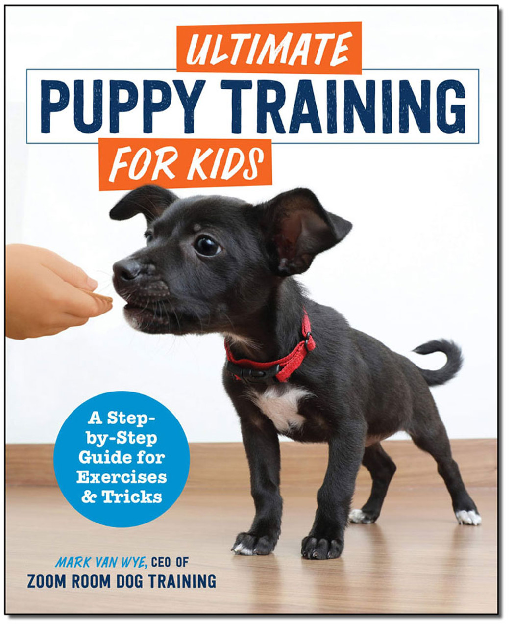 dog walking flyers for kids