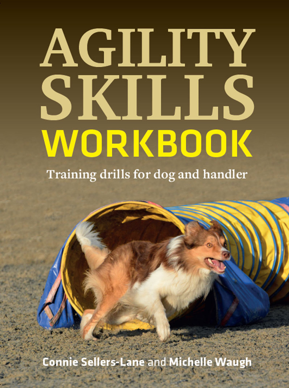 Speed And Agility Training  Examples & Advice - Kelsey Kerridge