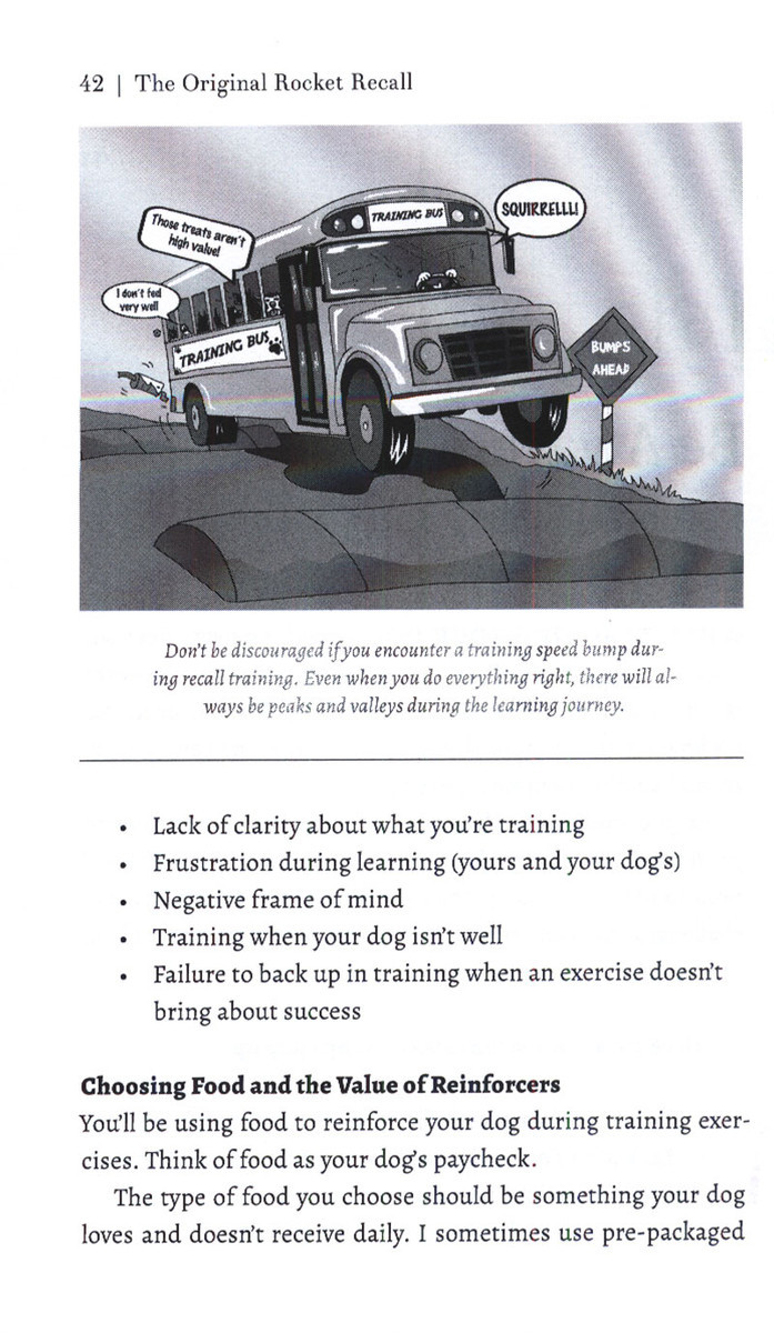 The Original Rocket Recall: Teach Your Dog To Come