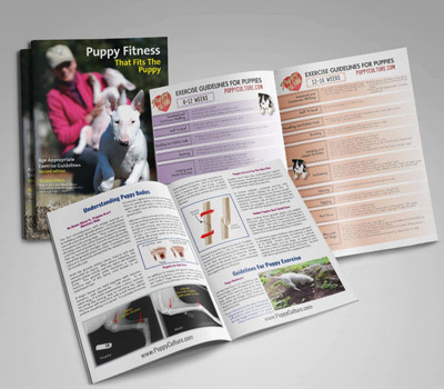 Puppy Culture Exercise Booklet Puppy Fitness That Fits The Puppy