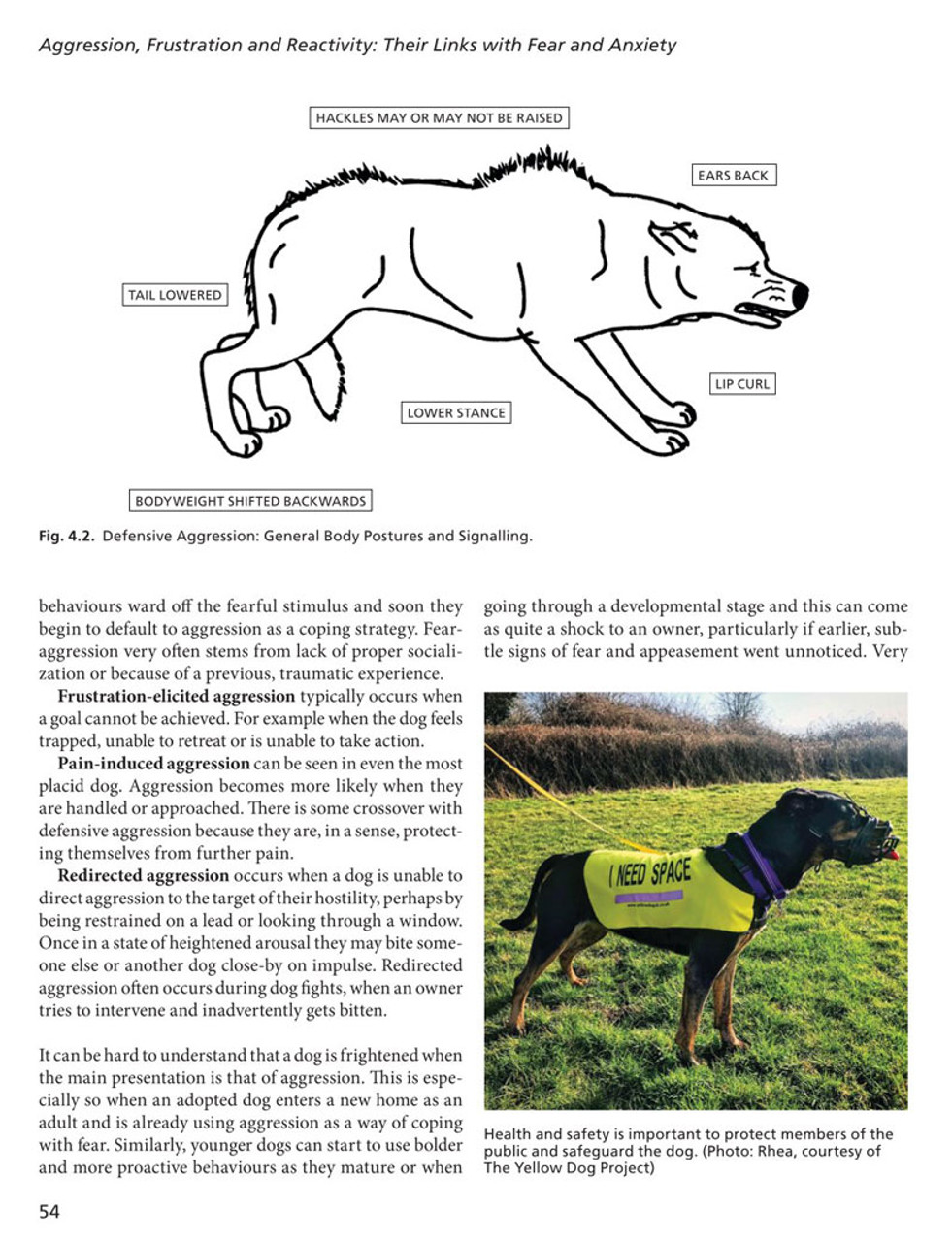 Enrichment For Dogs With Separation Anxiety - Faunalytics