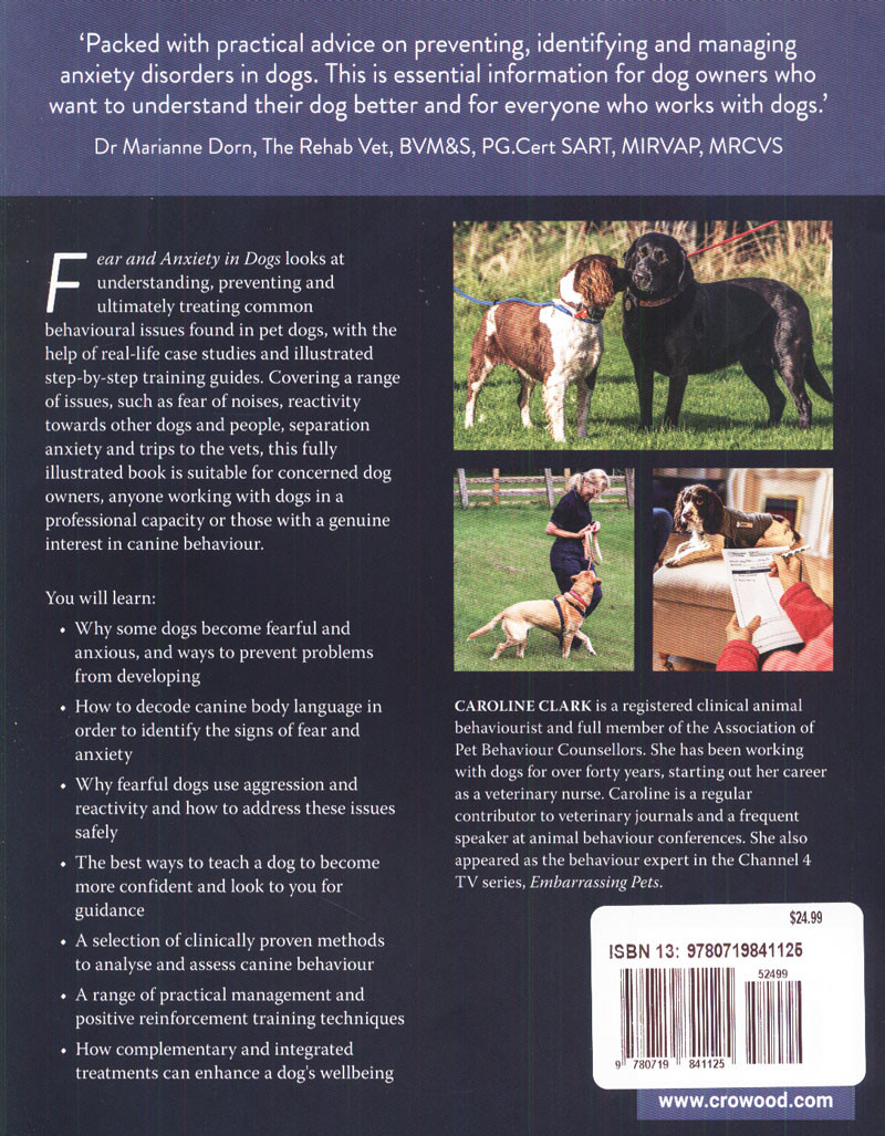 Photo inspiration: Picture Idea: Fear And Anxiety In Dogs Understanding Prevention And Treatment