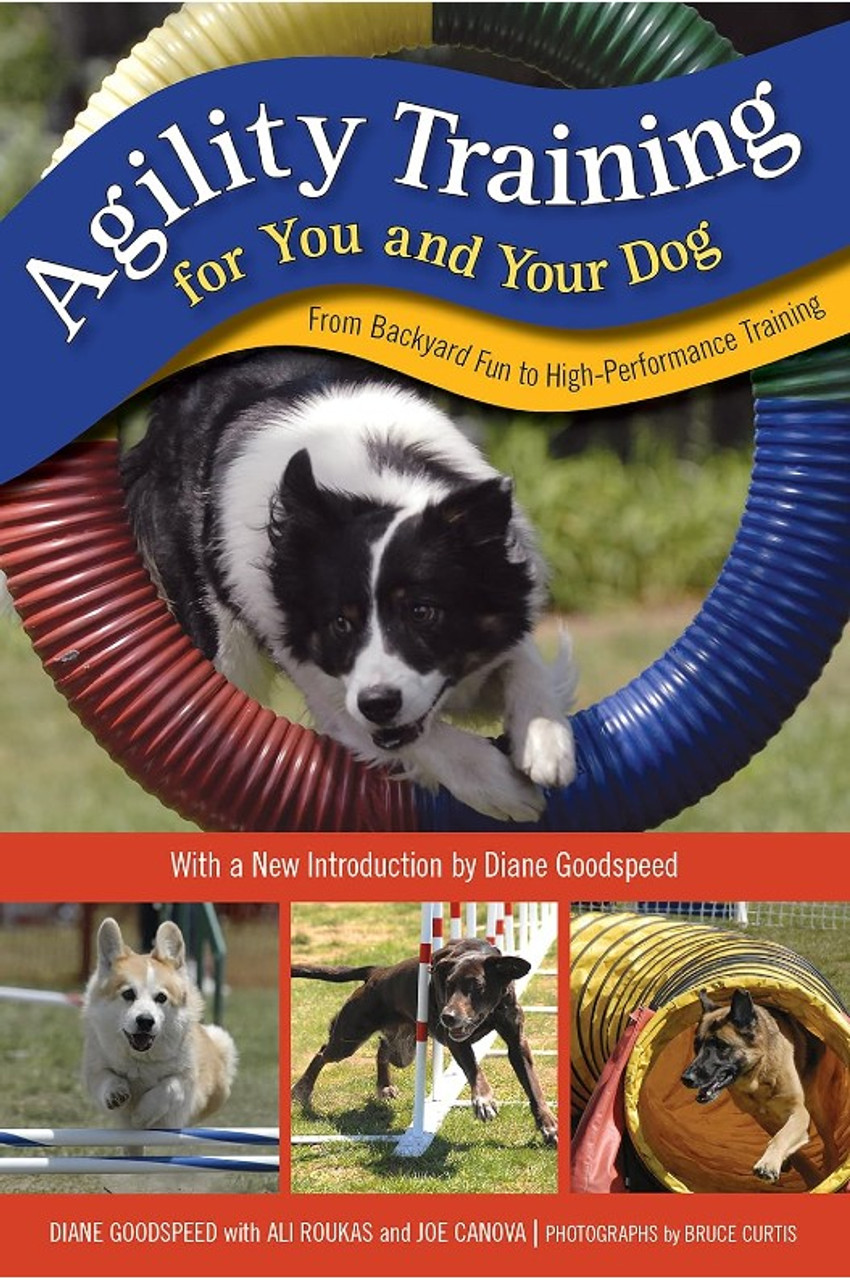 How to Build a Backyard Dog Agility Course