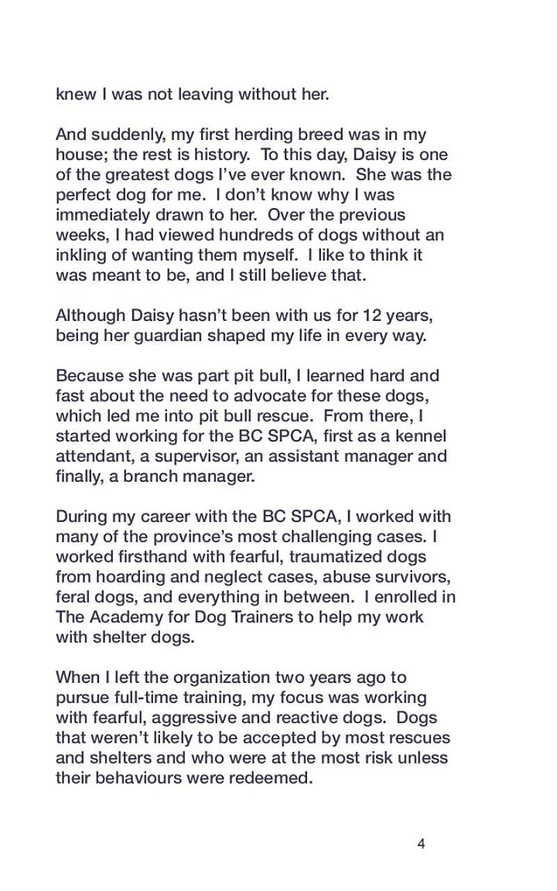 Urban Sheepdog Understanding Your Herding Breed Dog