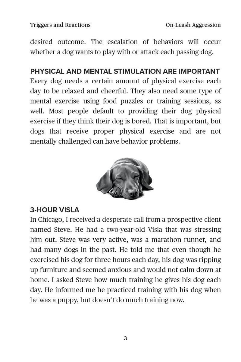 Triggers and Reactions: A Guide to Fixing Dog Behavior Problems: Volume ...